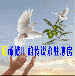 【柳岸】愿橄榄叶的传说永驻心房（诗歌）