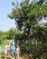 游随阳山有感