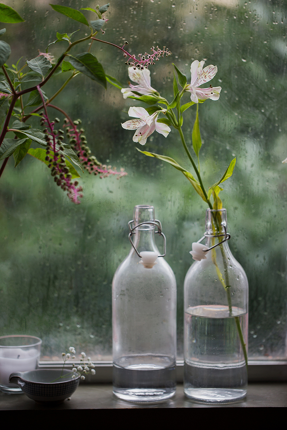 【凤凰】苏北的梅雨（散文）