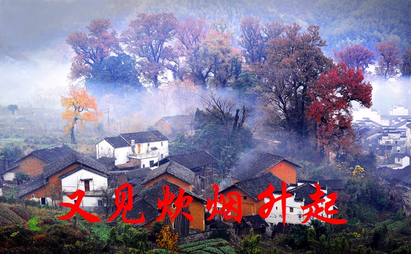 【丁香青春】又见炊烟升起（散文）