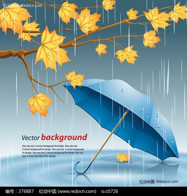 【丁香收获】雨中的秋思（散文）