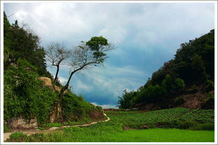 【八一】云游香水山（外一首·家园）