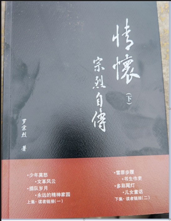 【丁香·花香】《情怀》暖我心怀（杂文随笔）