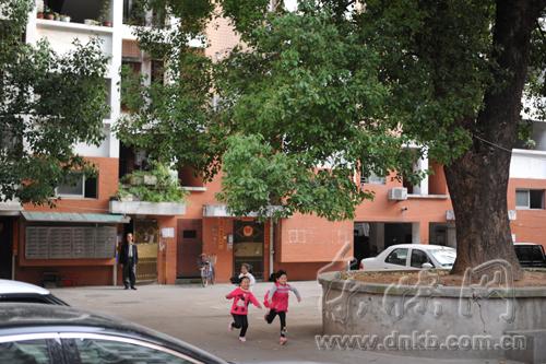 【丹枫】学区楼的烦恼（小说）