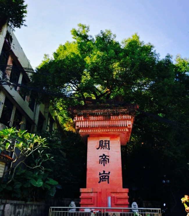 【八一】七绝·咏阳台山茶（古韵外七首）