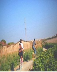 【短文】在路上静待春暖花开