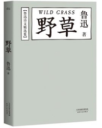 【赏析】野草，我和鲁迅