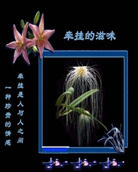 告诉你，在雪花飘飞的夜晚陪你一起回家