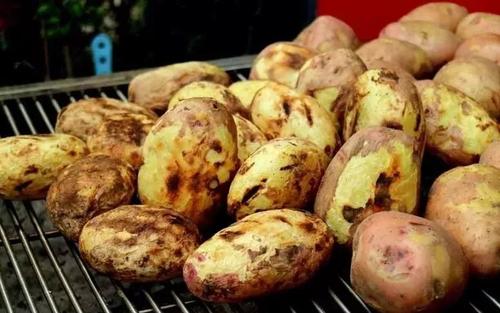 【八一】土豆情深（散文）