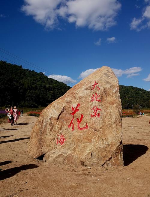【家园】亡命大北岔（散文）