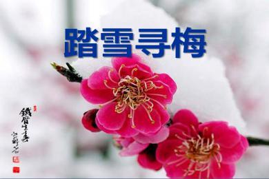 【军警】落雪，有诗有袭（诗歌）