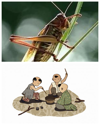 【赏析】《促织》鉴赏