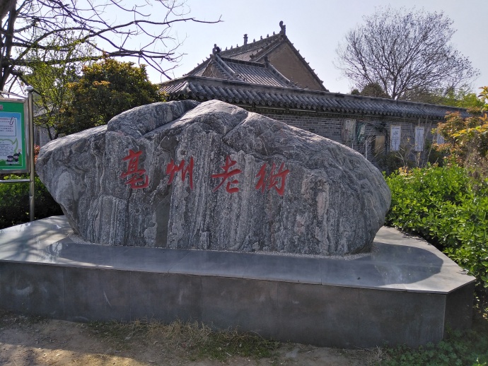 【丹枫】游亳州（散文）