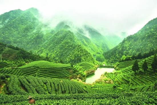 【凤凰】山乡茶韵（舞台剧）
