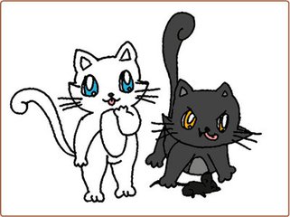 我家的俩只猫（随笔）