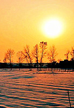 【浪花•感动】给夕阳涂上最美色（随笔）