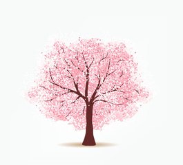 【江山宸光】可怜的樱花树（中学组记叙文）