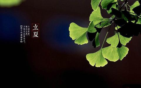 【柳岸】立夏之后（外三首）