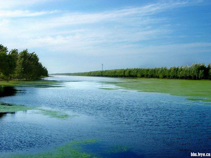 【凤凰·舞】画中卯酉河（散文）