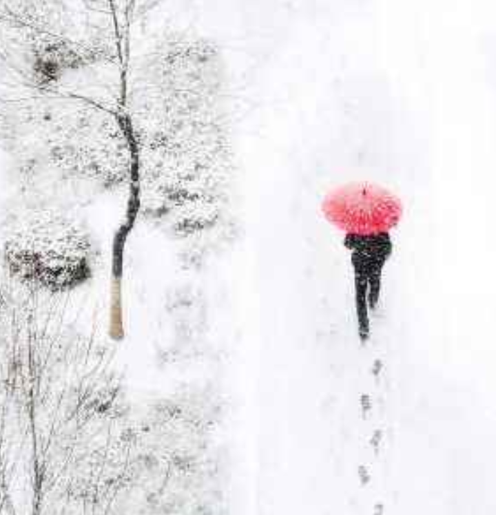 【八一】又见雪花飞（外二首·家园）