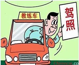 【柳岸•美】驾照，想说爱你不容易（散文）