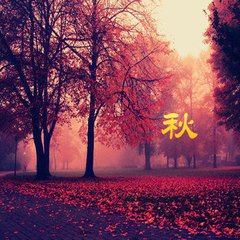 【天涯】秋的组章（诗歌）
