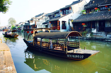 【八一】我的姑苏，我的城（散文·家园）