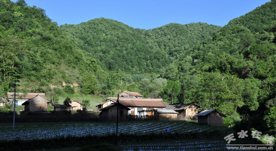 夸清水（童谣）