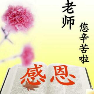 感恩老师（随笔）