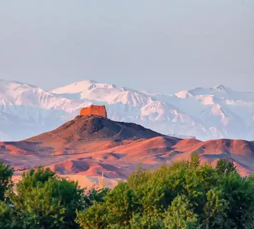 【酒家】陇上行（散文诗）