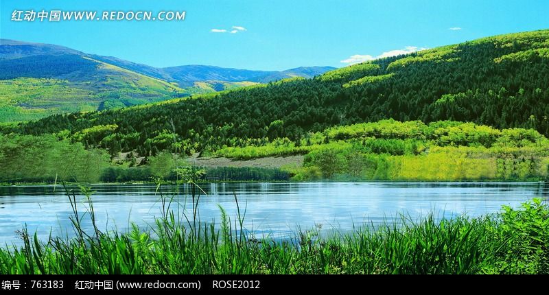 【丁香收获】大山的夏天（散文）