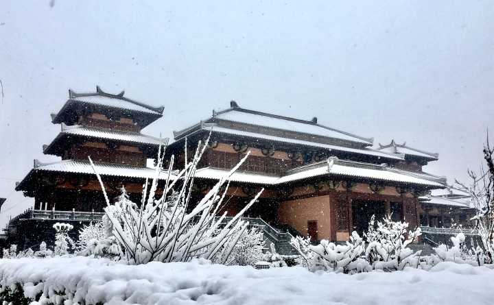 【晓荷.心愿】小城雪（散文）