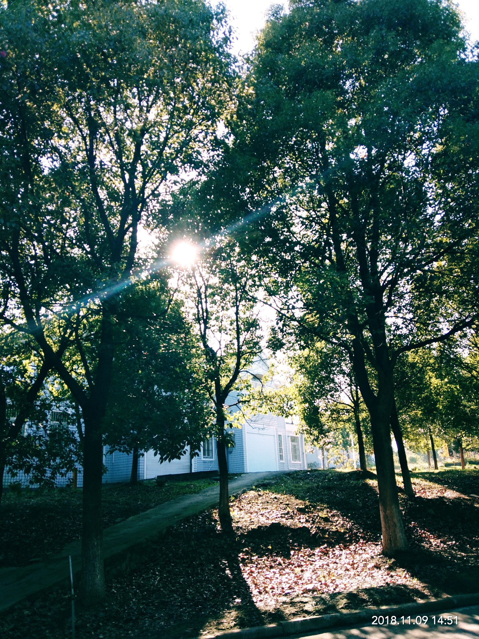 【凤凰·天】那年同学分手时（散文）