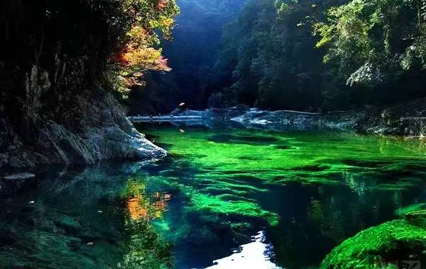 【东篱】向往深山（散文）