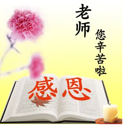 【萌芽】感激你，我的老师（记叙文）
