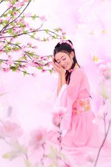 【军警】桃花恋（诗歌）