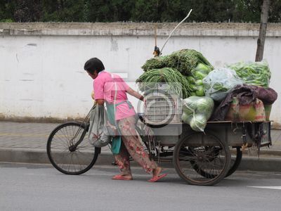 【冰心】勤劳女人（散文）
