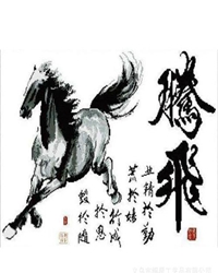 愿中国文化放缰驭马腾飞