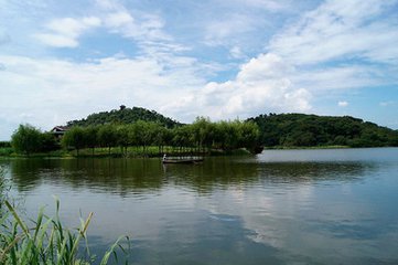 【流云】读你，在初秋的午后（散文）