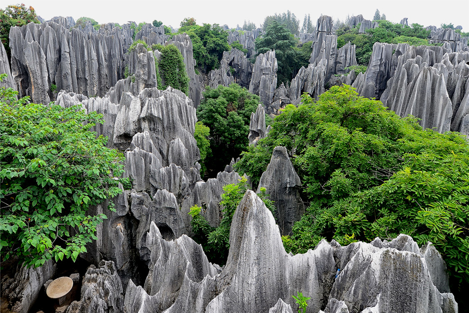 【清韵】梭布桠——石林奇观（散文）