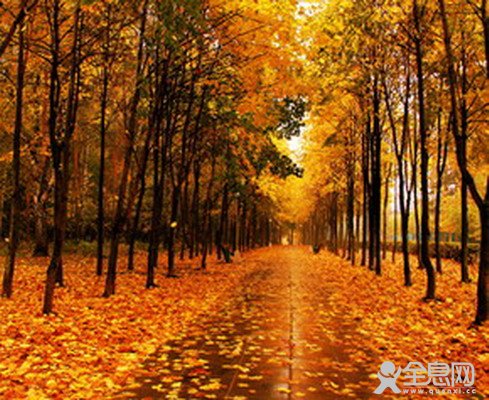 【清韵】黑土一方（诗歌）