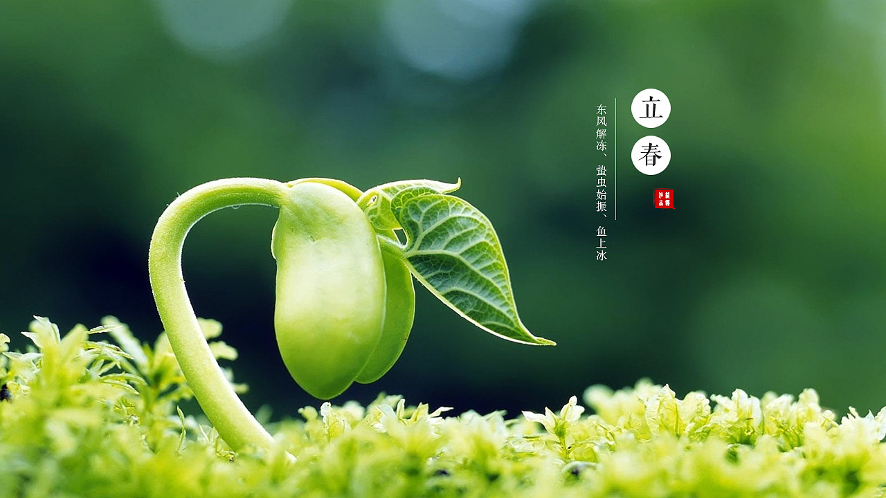 【楚汉】七律·二十四节令（古韵）