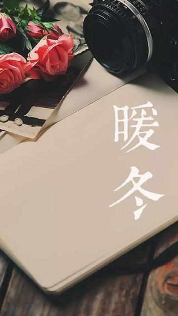 【月光】初冬里的温暖（散文）