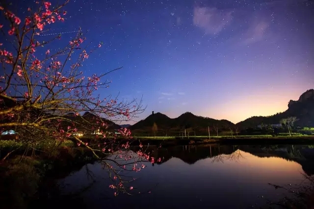 【摆渡·遇见】桃花满枝（诗歌外二首）