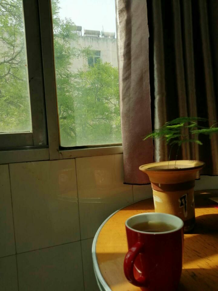 【丁香】桂花婆的喜事 (散文)