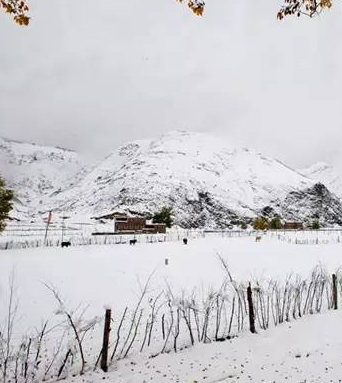 【流年·雪】雪中的葬礼（征文·散文）