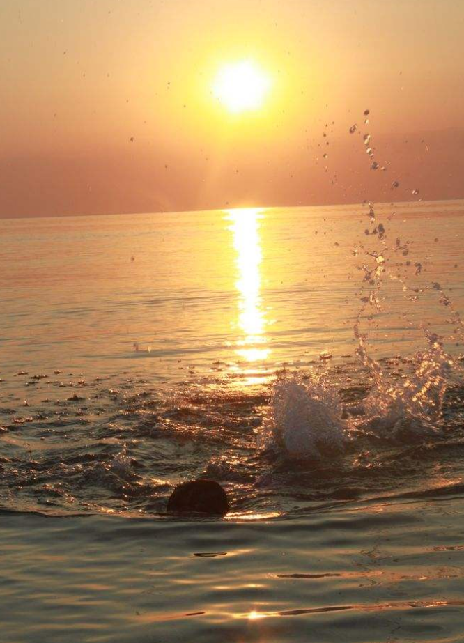 【八一】太阳照在南海上（诗歌·旗帜）