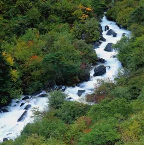 【江南诗意】跟一条河去海边（外一章）