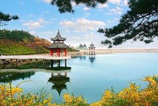 【东篱】赤山慢春色（散文）