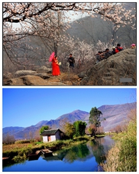 那树，那河